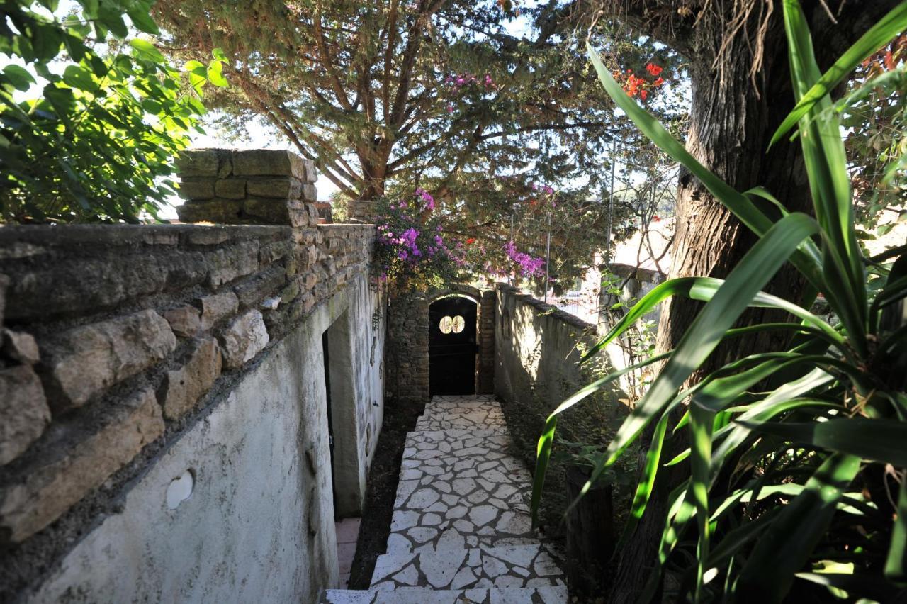 Villa Theodora View Apartments Zeys 圣佐治欧斯帕贡 外观 照片